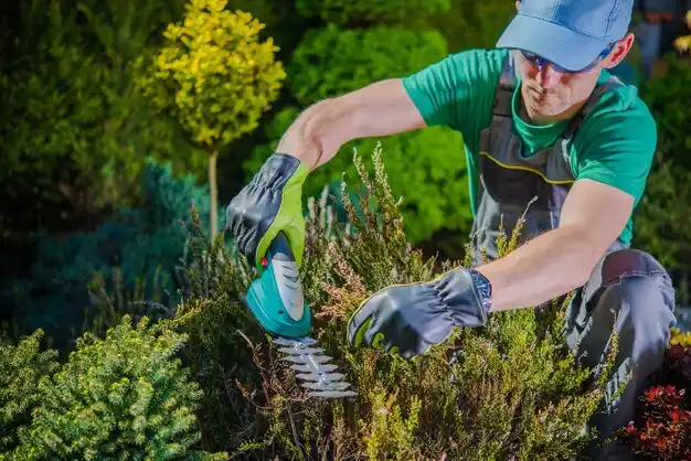 landscaping services West Union